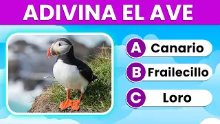 Adivina el Animal Correcto 🧐 | ESPECIAL AVES 🦅🐦🦆