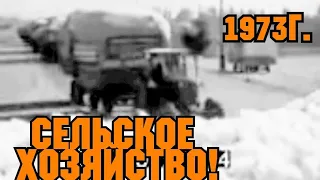 СЕЛЬСКОЕ ХОЗЯЙСТВО В СССР 1973