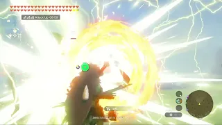 Lore accurate link vs lynel