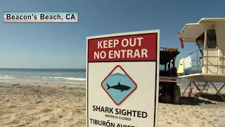 13-Year-Old Boy Hospitalized After California Shark Attack | NBC Nightly News