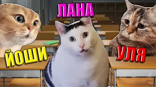 ВЫБИРАЕМ ЛУЧШЕГО МЕМНОГО КИСИКА! Roblox Cat Meme RP