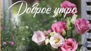 Пусть утро будет классным,а день Ваш прекрасным♥️ Доброе утро🌺