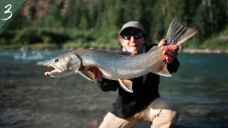 NORTHERN NATIVES | Catching Monster Bull Trout on the fly