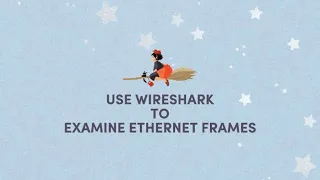 Lab - Use Wireshark to Examine Ethernet Frames