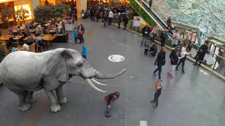 Augmented Reality Zoo in India