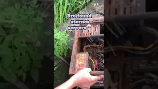 Bro found aternos servers💀 https://www.twitch.tv/wkstans