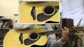 tommy emmanuel pinkpanther cover