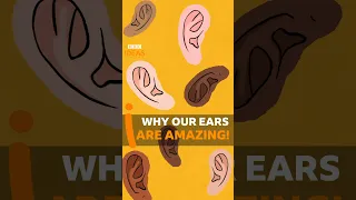 Why our EARS are amazing! #Science #Shorts #BBCIdeas