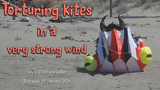 Torturing kites in a very strong wind