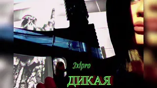 21 июня премьера трека 3xlpro & Харизмо-Дикая