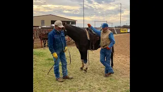 Bobby Glo Harlan, Jr Heading with Bobby Lewis, 2020 AQHA World Show