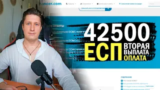 Надо ли платить второй раз ЕСП? Когда 2 выплата 42500? ИП/отказ - что делать? ОСМС обязательно?