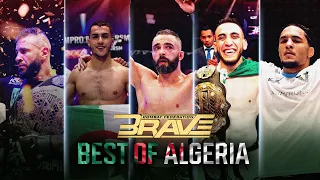 MMA Algeria | Best of Algerian Fighters in the BRAVE CF Cage | BRAVE CF FREE MMA Fights