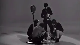 The Beatles - Fish and Chips (WARNING: FLASHES)