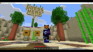 Minecraft ~ Mini Games Episode 1 ~ Guess Head