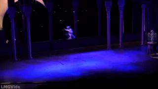 [HD] Disney's Aladdin: Musical Spectacular 2014 California Adventure full complete show 1080p