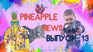 Зозуля и колбаса, ограбление малолетних, ГАИ погоня | Pineapple News выпуск #13