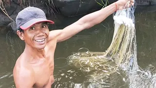 Traditional Gill Net Fishing - The Most Catch Fishing With Beautiful Natural - Primitive Fishing