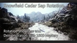 Black Desert Online | Snowfield Cedar Sap Rotation