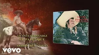 Vicente Fernández - El Palenque (Audio)