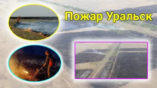 пожар уральск, пожар степь 11.07.2023