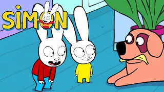 Simon *La clinique vétérinaire* COMPILATION 1h Saison2+3 HD [Officiel] Dessin animé pour enfants