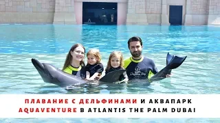 Плавание с ДЕЛЬФИНАМИ в Dolphin Bay и Аквапарк Aquaventure в отеле Atlantis The Palm Dubai