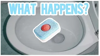 Put a Dishwasher Tablet in Your Toilet Bowl