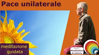 Pace unilaterale - Volker Winkler  TALO® Meditation Academy