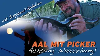 Matze Koch: Aal mit der Picker (und Frikadellen!)