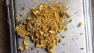 HOW TO EXTRACT GOLD WITHOUT USING MERCURY AND JOIN THE DUST