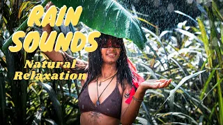 Rain sounds with thunder || Relaxing nature music || 1 hour || Streams audio library || Part 1
