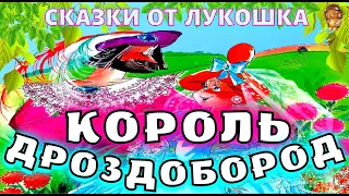 Король Дроздобород — Сказка Братьев Гримм | Лучшие сказки про Принцесс | Сказки Братьев Гримм