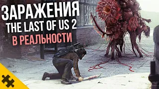 ХУДШАЯ БОЛЕЗНЬ в игре, которая РЕАЛЬНА - The LAST OF US 2 / КОРДИЦЕПC Зараженные в ОДНИ ИЗ НАС 2