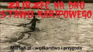 Zajrzeć na dno stawu karpiowego - reportaż z odłowu karpi na łowisku w Przelewicach