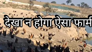 amazing poultry farming in Jharkhand,India