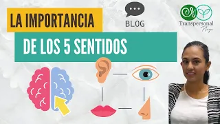 BLOG │Aprendizaje │La importancia de los 5 sentidos │Lic. Elizabeth Rendón