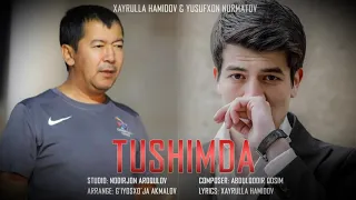 Hayrulla Hamidov ft Yusufxon Nurmatov-Tushimda