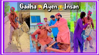 Gadha Ayen Insan | 🙏Just Fun 🙏 Popat Khan | Lollipop Liaqat Rajri | Kaddo🍈 Sindhi Funny video