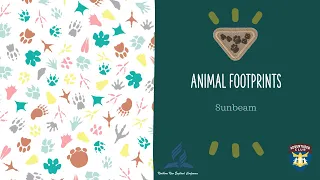 Animal Footprints