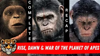 Planet of Apes timeline explained Hindi/urdu. Must watch before Kingdom of the Planet of the Apes.