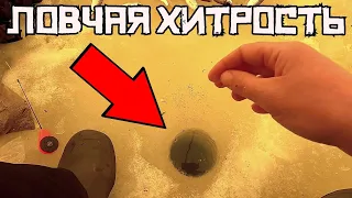 СДЕЛАЛ ХИТРОСТЬ и ЗАГНУЛО кивок! Дикий жор в НАНО РЕЧКЕ весной!!!