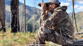 Spring bear hunt Idaho, Unit 33