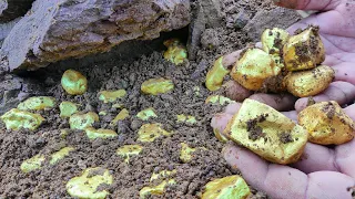 Wow Amazing! Digging up for Treasure worth millions $$ from Huge Nuggets of Gold, Mining Exciting.