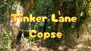 iFlight Defender 25 - Tinker Lane Copse 2023