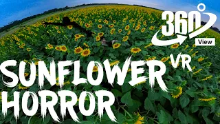 #VR 360: HORROR SUNFLOWER SCARECROW 🌻👻 | Horror Creepypasta | Experience 4K