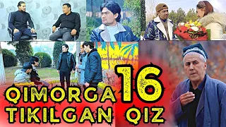 QIMORGA TIKILGAN QIZ 16 | ҚИМОРГА ТИКИЛГАН ҚИЗ 16