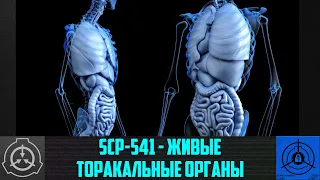 SCP-541 - Живые торакальные органы    【СТАРАЯ ОЗВУЧКА】