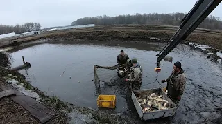 Зимний карп. Зарыбление 895 кг.