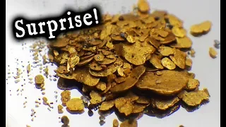 Unexpected, very rich, high bank gold deposit found.